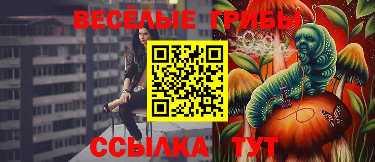 Галлюциногенные грибы Cubensis Зеленокумск